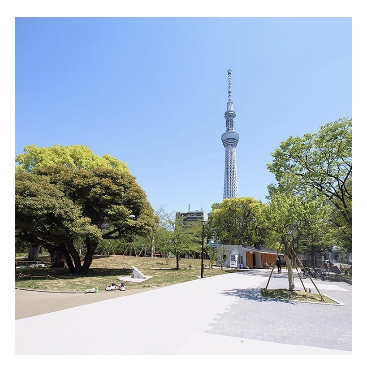 $schedule.caption|escape